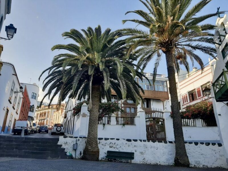 From Tenerife: Day Trip to La Palma Volcanic Landscapes - From Tenerife: Day Trip to La Palma Volcanic Landscapes Review