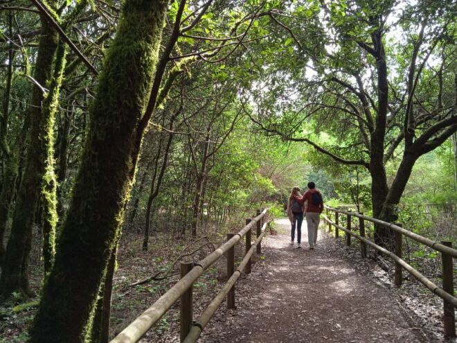 From Tenerife: La Gomera Day Trip With Guide - Lunch Break and Local Whistled Language