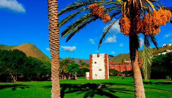 From Tenerife: La Gomera Day Trip With Guide - The Sum Up