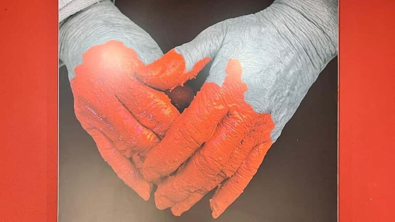 From Tenerife South: La Gomera Full-Day Trip with Transfers - Final Thoughts