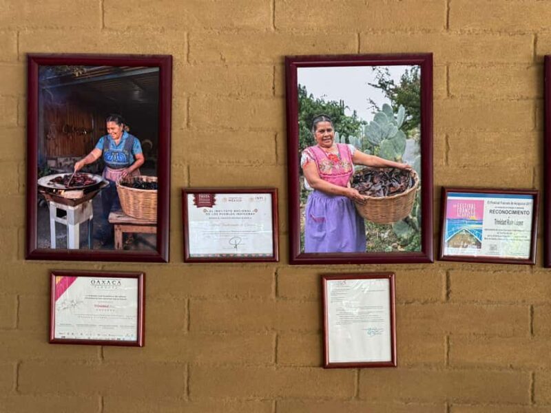 From Teotitlán del Valle - Traditional Cooking Class - Detailed Breakdown of the Itinerary