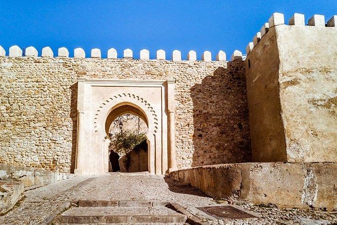 From Tetouan: Full Day Trip to Tangier - Price and Booking
