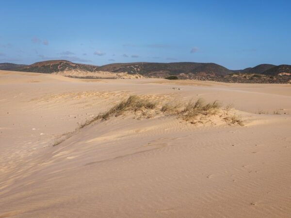 From the Algarve to Lisbon; Guided Transfer With Extra Wow! - Frequently Asked Questions