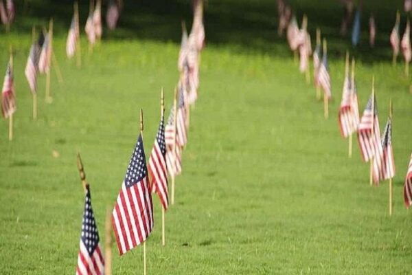 From The Big Island: Arizona Memorial and Honolulu City Tour - Historical Landmarks in Honolulu