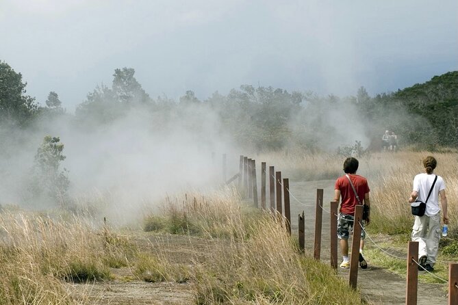 From the Big Island: Hawaii Volcanoes National Park Experience - Visit to a Coffee Farm
