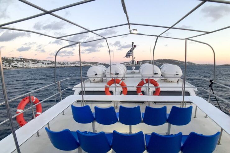 From the Cruise Ship Port: The Original Delos Guided Tour - Booking Details for the Delos Tour