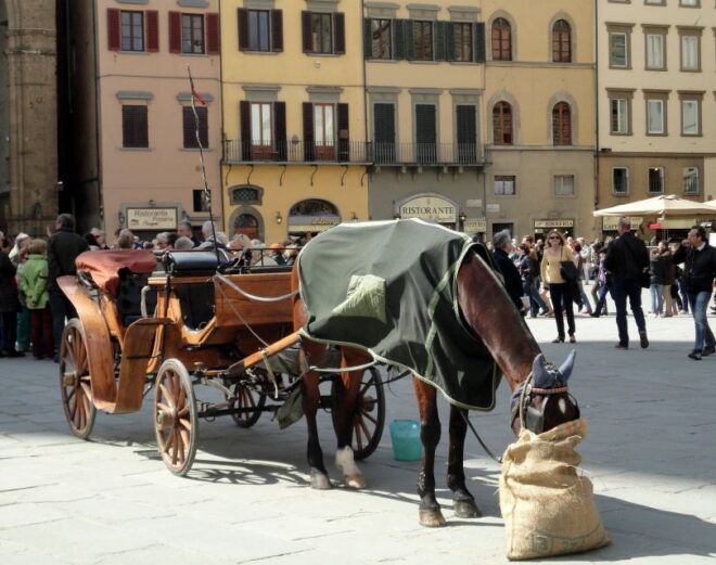 From the Port of Livorno: Private Day Trip of Florence - Directions