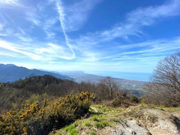 From the Sea to the Apuan Alps:Ebike Tour on Mount Folgorito - Frequently Asked Questions