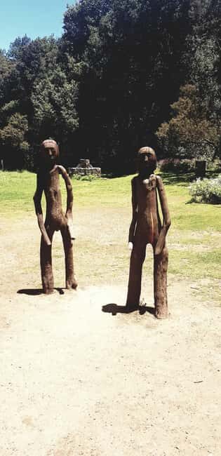 From the south of Tenerife: La Gomera full day trip - How the Day Unfolds: A Detailed Look at the Itinerary