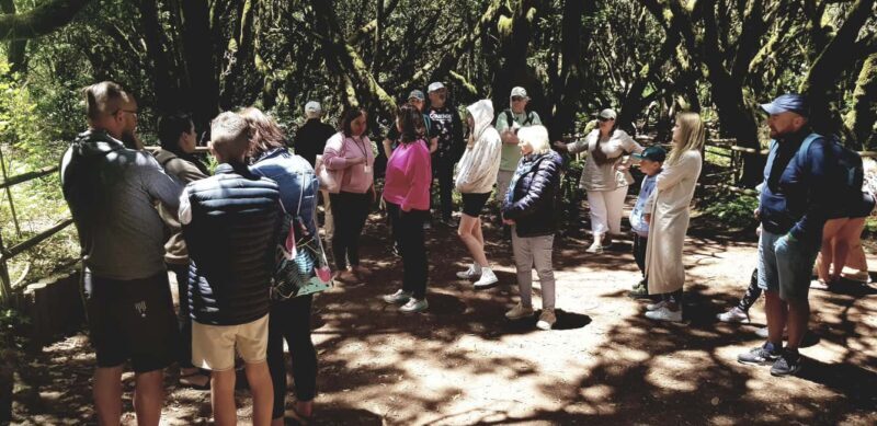 From the south of Tenerife: La Gomera full day trip - What Do the Reviews Say?