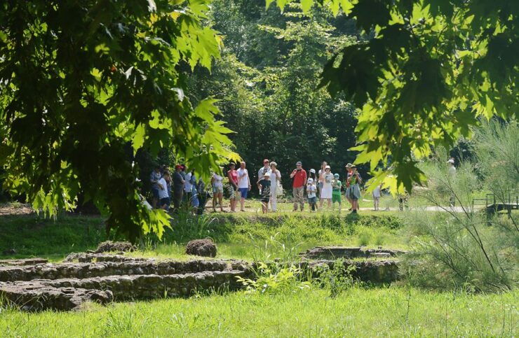 From Thessaloniki: Day Trip to Dion and Mount Olympus - Activity Details