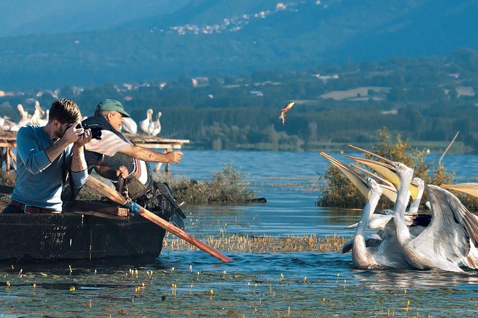 From Thessaloniki: Day Trip to Kerkini Lake - What to Expect