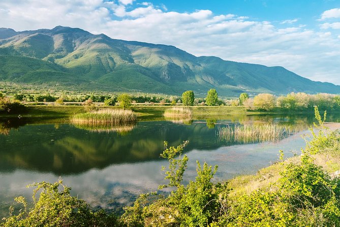 From Thessaloniki: Day Trip to Kerkini Lake - Wildlife at Kerkini Lake