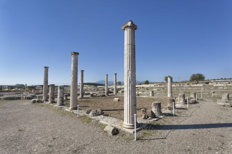 From Thessaloniki: Pella, Edessa and Naoussa Full-Day Tour - Tour Experience