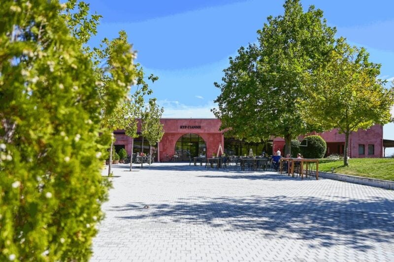 From Thessaloniki: Pella-Edessa-Naousa wine tasting - Value and Practicality