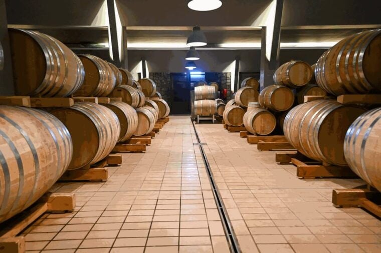 From Thessaloniki: Pella-Edessa-Naousa wine tasting - Final Thoughts