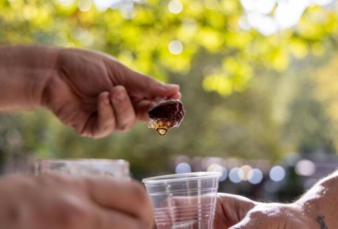 From Thessaloniki: Pozar Baths & Edessa Waterfalls - Inclusions