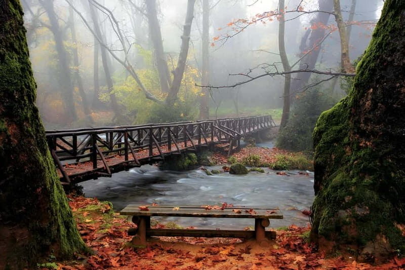 From Thessaloniki: Vergina, Agios Nikolaos, and Edessa - An In-Depth Look at the Tour Experience