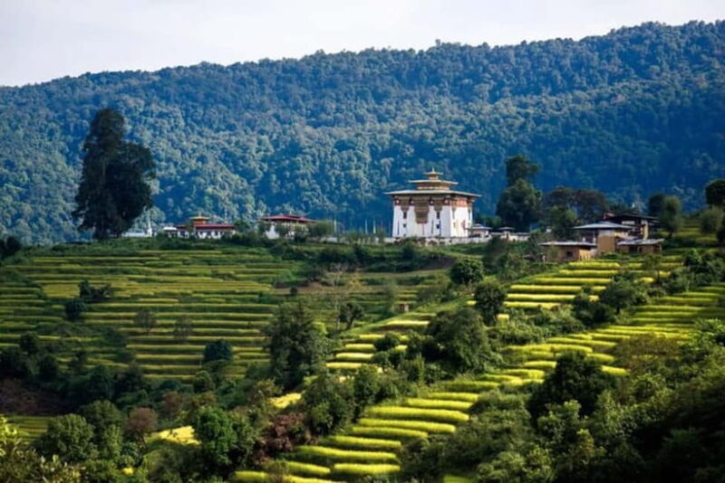 From Thimphu - Enchanting Bhutan tour with Guide 5 days Tour - Exploring the 5-Day Bhutan Journey