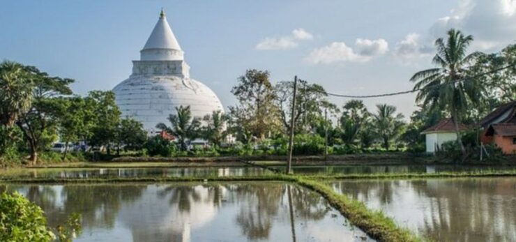From Thissamaharama to Ella Transfer - Scenic Route Experience Details