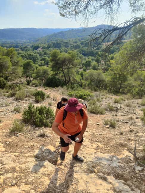 From Tholonet to the Bibémus quarries: Cézanne Hike - The Experience from a Traveler’s Perspective