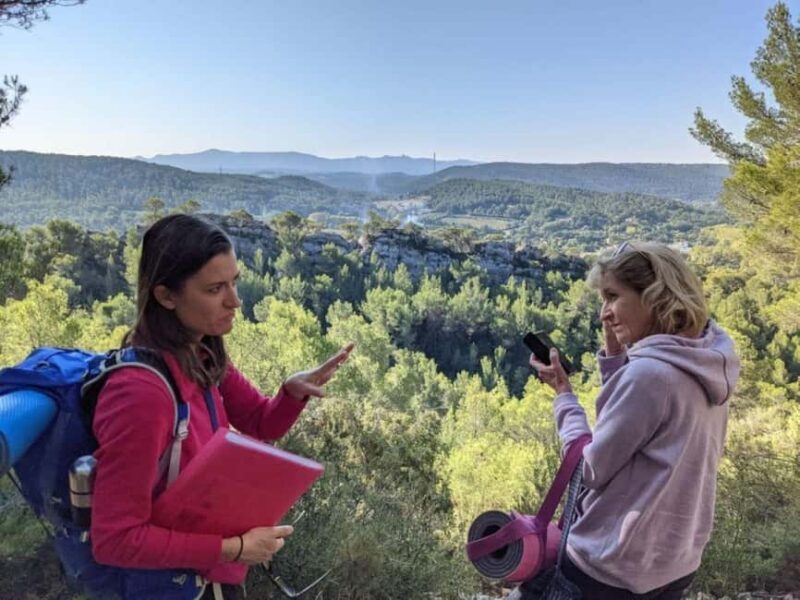 From Tholonet to the Bibémus quarries: Cézanne Hike - Who Will Love This Tour?