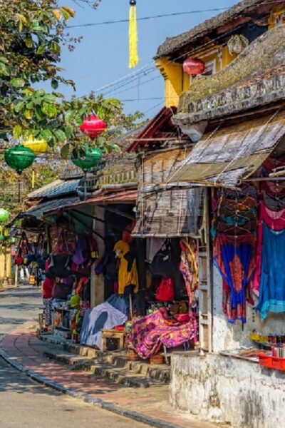 From Tien Sa Port: Da Nang and Hoi An Private Day Tour - Accessibility Features