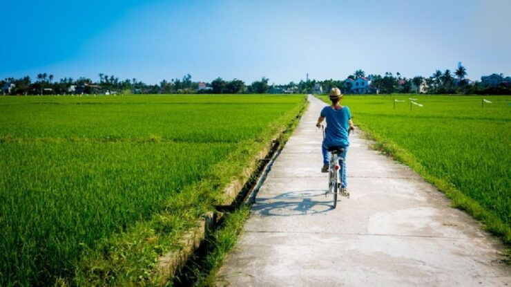 From Tien Sa Port: Da Nang and Hoi An Private Day Tour - Tour Activity Details