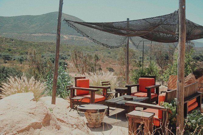 From Tijuana to Valle de Guadalupe private tour 6 passengers - What to Expect on the Tijuana to Valle de Guadalupe Tour