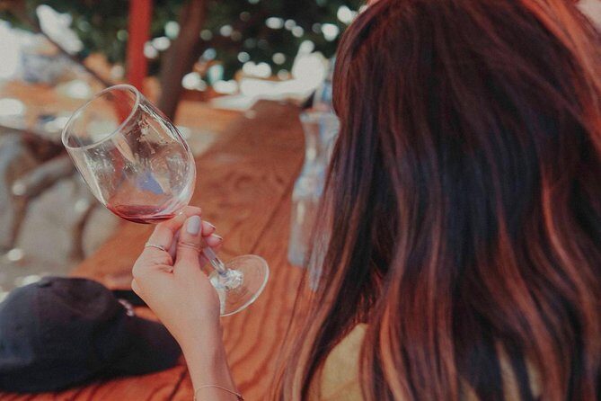 From Tijuana to Valle de Guadalupe private tour 6 passengers - Who Will Love This Tour?