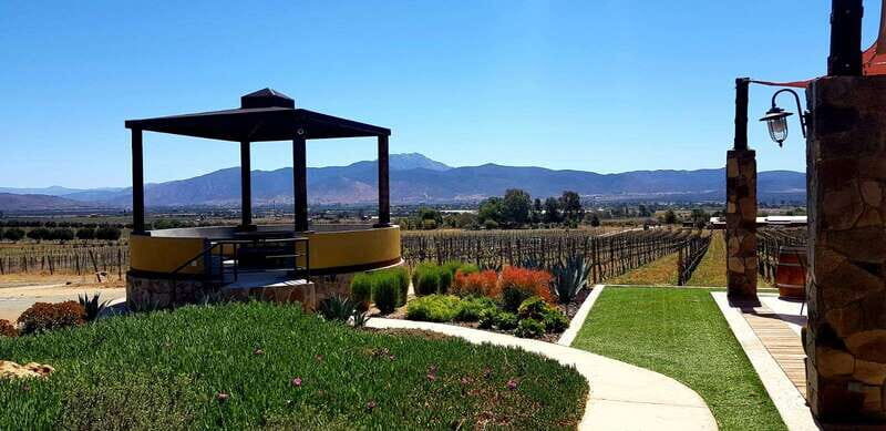From Tijuana: Valle de Guadalupe Private Winery Tour - Good To Know