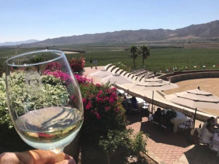 From Tijuana: Valle De Guadalupe Private Winery Tour - Experience Highlights
