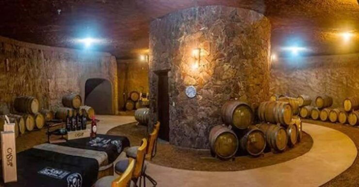 From Tijuana: Valle De Guadalupe Shared Winery Tour - Good To Know