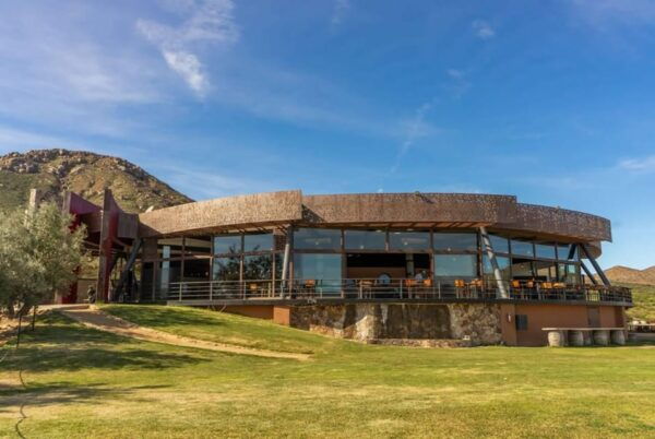 From Tijuana: Valle De Guadalupe Shared Winery Tour - Winery Visits