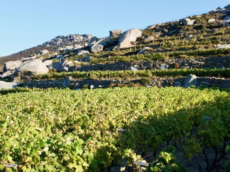 From Tinos: Stemnitsa Winery Tour with Tasting - Exploring the Tour Itinerary and Highlights