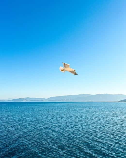 From Tirana: 2-Day Albanian Riviera & Dhermi Guided Tour - Tasting Albanian Wines & Local Flavors