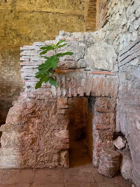 From Tirana: Berat City, Belshi Lake and Roman Baths Tour - A Deep Dive into the Tour Experience