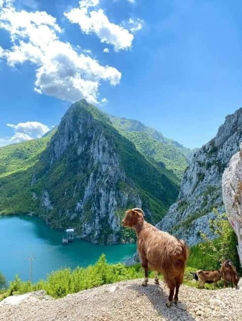 From Tirana: Bovilla Lake and Gamti Mountain Tour - The Experience from the Reviews