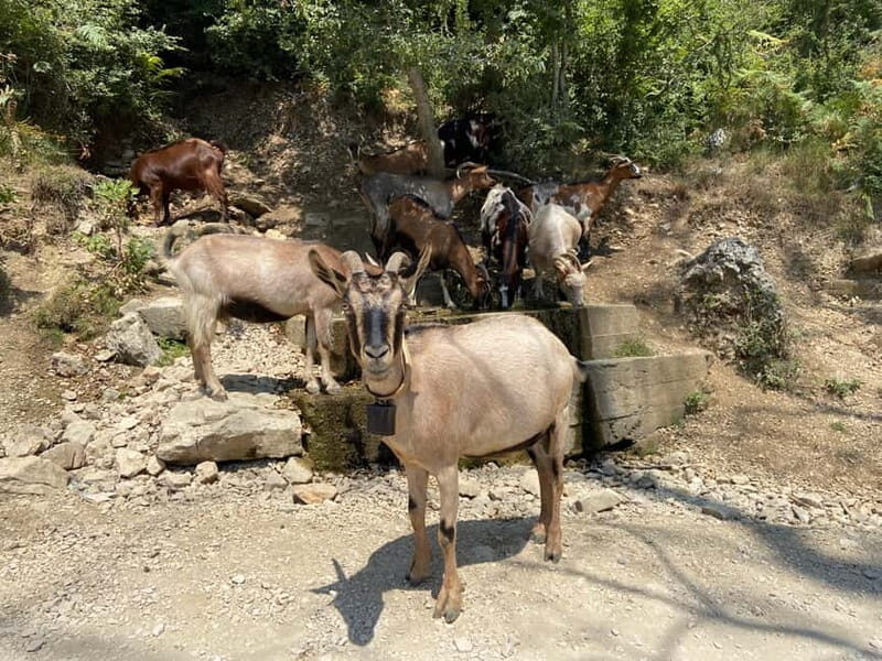 FROM TIRANA: Bovilla Lake & Gamti Mountain Hiking Trip - Final Thoughts