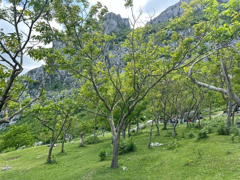 From Tirana: Bovilla Lake & Gamti Mountain Viewpoint Hike - The Balcony of Bovilla: The Ultimate Photo Spot