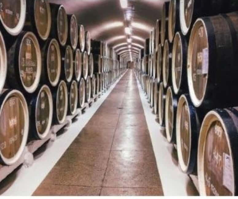 From Tirana: Cape of Rodon Castle, Beach & Wine Tasting Tour - Frequently Asked Questions