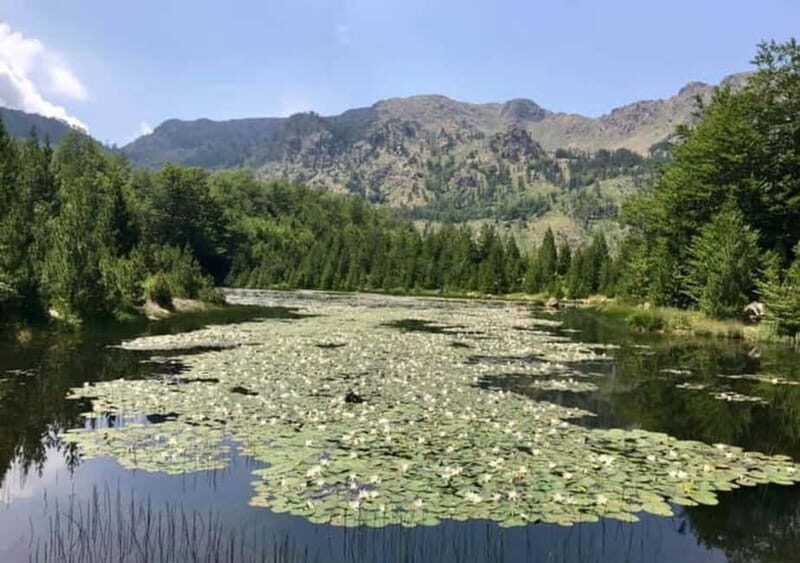 From Tirana: Dibër County Day Trip with Breakfast and Lunch - A Deep Dive into the Dibër County Day Trip