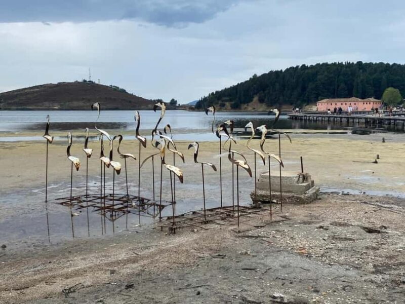 From Tirana/ Durrës: Apollonia & Zvernec Monastery Day Tour - Discovering Zvernec Monastery