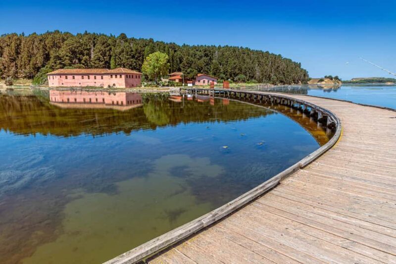 From Tirana/ Durrës: Apollonia & Zvernec Monastery Day Tour - Who Will Love This Tour?