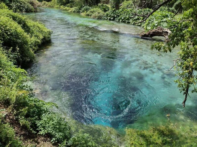 From Tirana/Durres: Gjirokastra UNESCO city & Blue Eye - Who Should Consider This Tour?