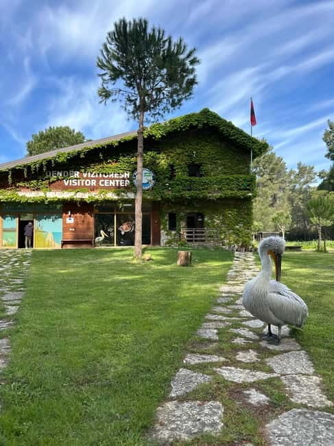 From Tirana/Durres : Karavasta Lagoon 4x4 Offroad Tour. - Good To Know