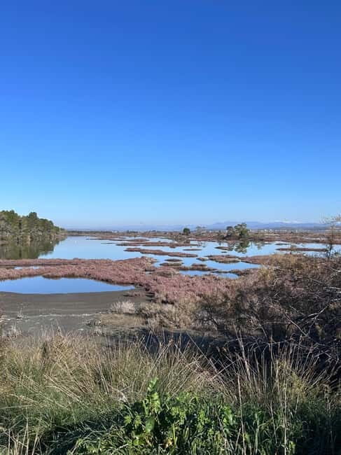 From Tirana/Durres : Karavasta Lagoon 4x4 Offroad Tour. - Final Verdict