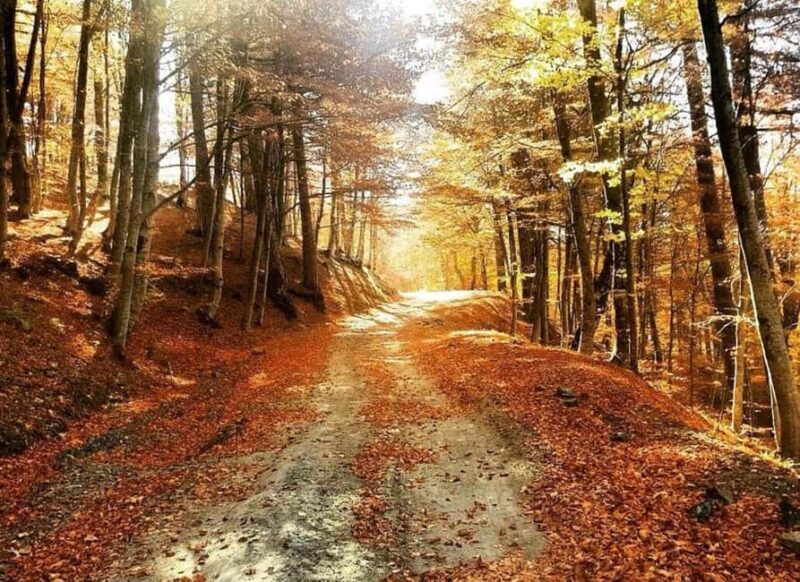 From Tirana / Durrës: Qafë-Shtamë, Sarisalltik & Krujë Tour - Good To Know