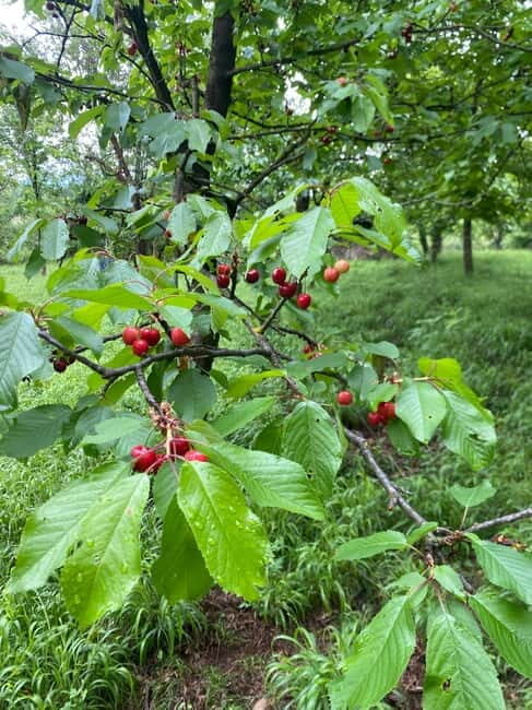 From Tirana/Durres: THINK GLOBAL, ACT AS A LOCAL - Good To Know