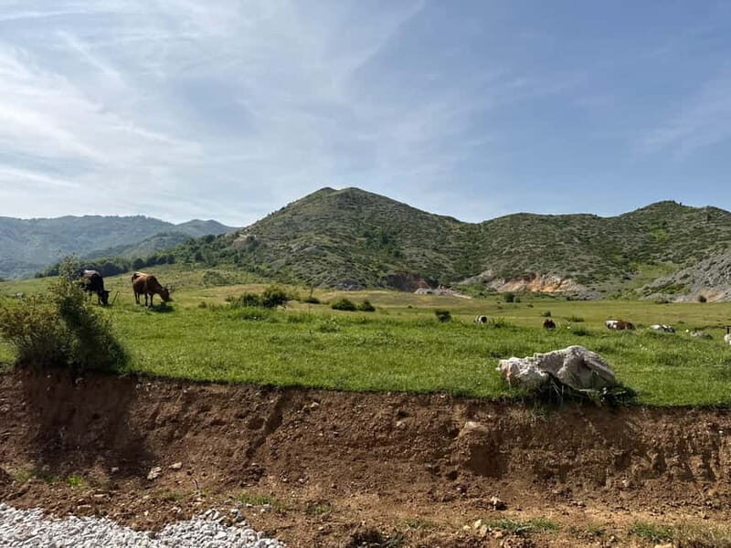 From Tirana/Durres:Hiking tour in National Park of Shebenik - Is This Tour Worth It? An Honest Breakdown